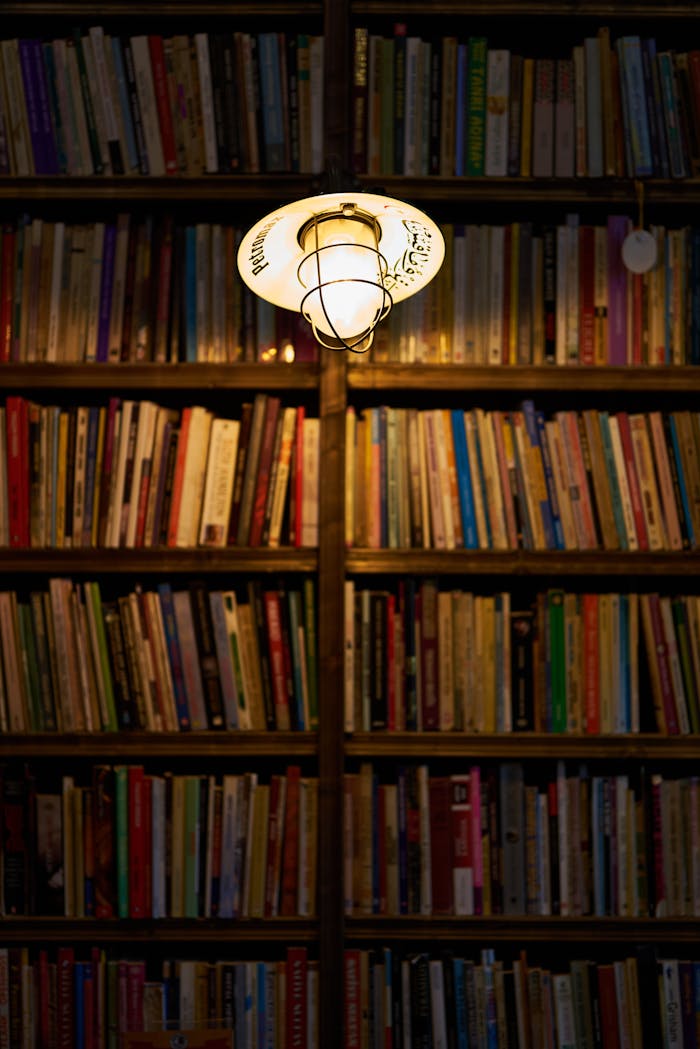gallery-3 Bookshelf in a library illuminated by a warm lightbulb, creating a cozy ambiance.
